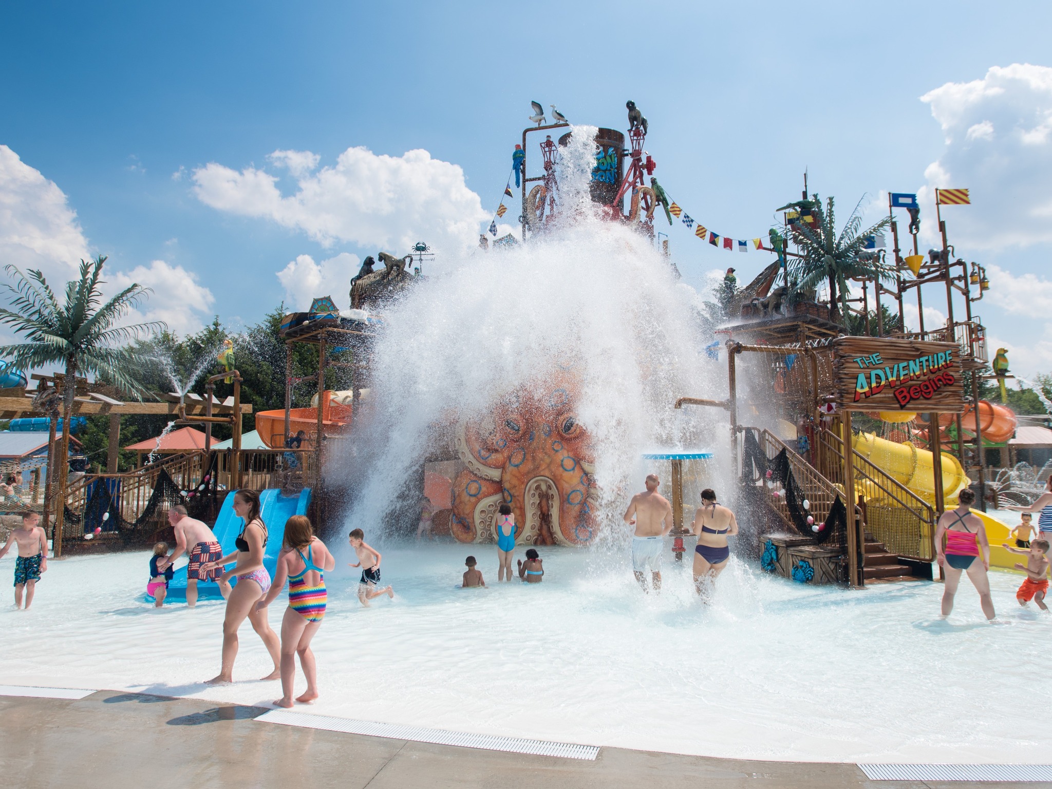 /shared/superadmin/content/images/dynamic/deal/510/offer-image-510-lRw5SKiOo2-1750948900.jpg